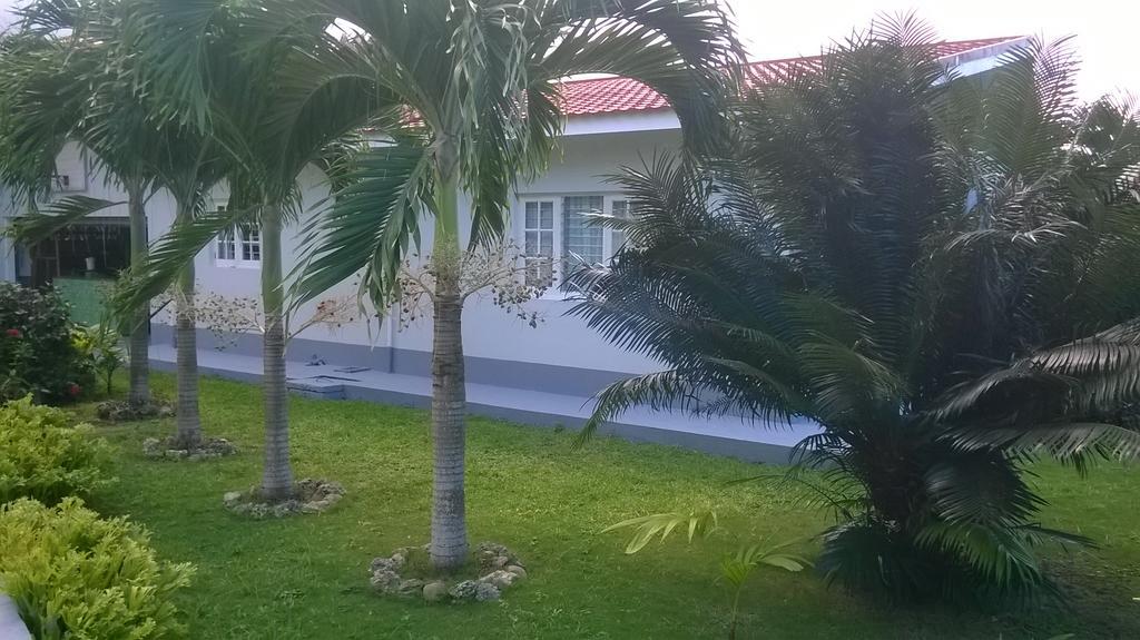 Apartamento Fairy Hill Palms Port Antonio Exterior foto